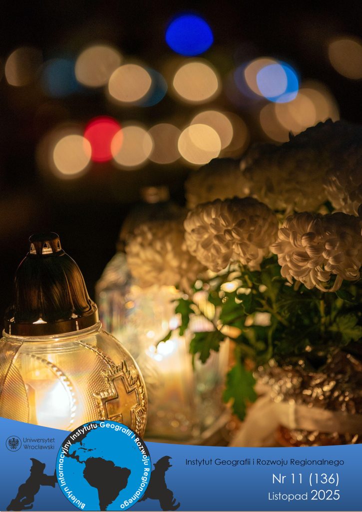 Biuletyn IGRR 11/2025