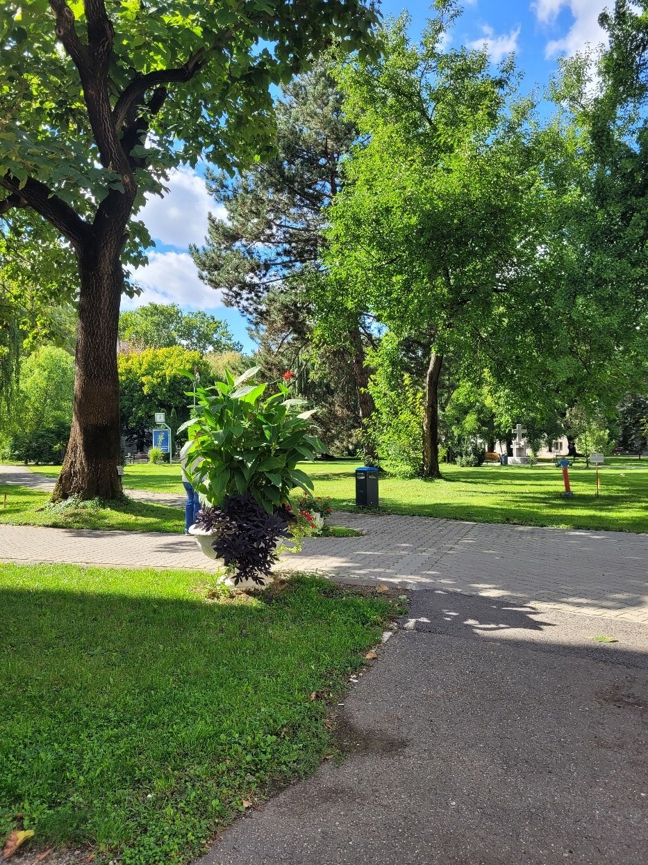 Oradea - park