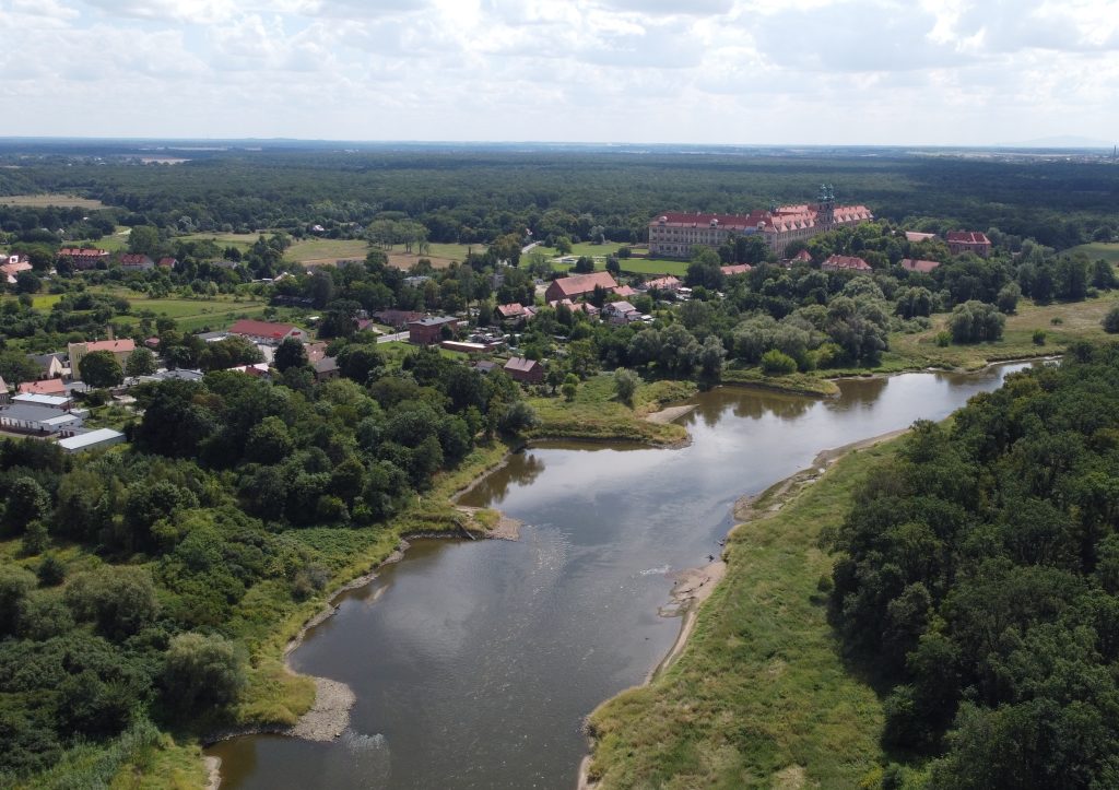 Odra w Lubiążu